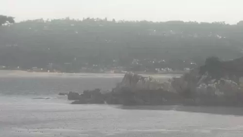 Point Lobos Webcam – Whalers Cove – Carmel By The Sea, CA