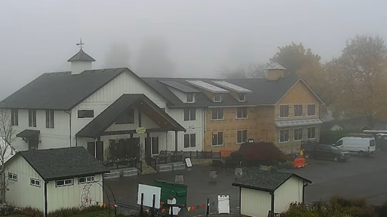 Swan Island Dahlias – Canby Oregon – Live Cam Video