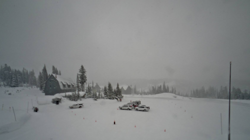 Ashford Webcam – Washington – Real Time Live Video