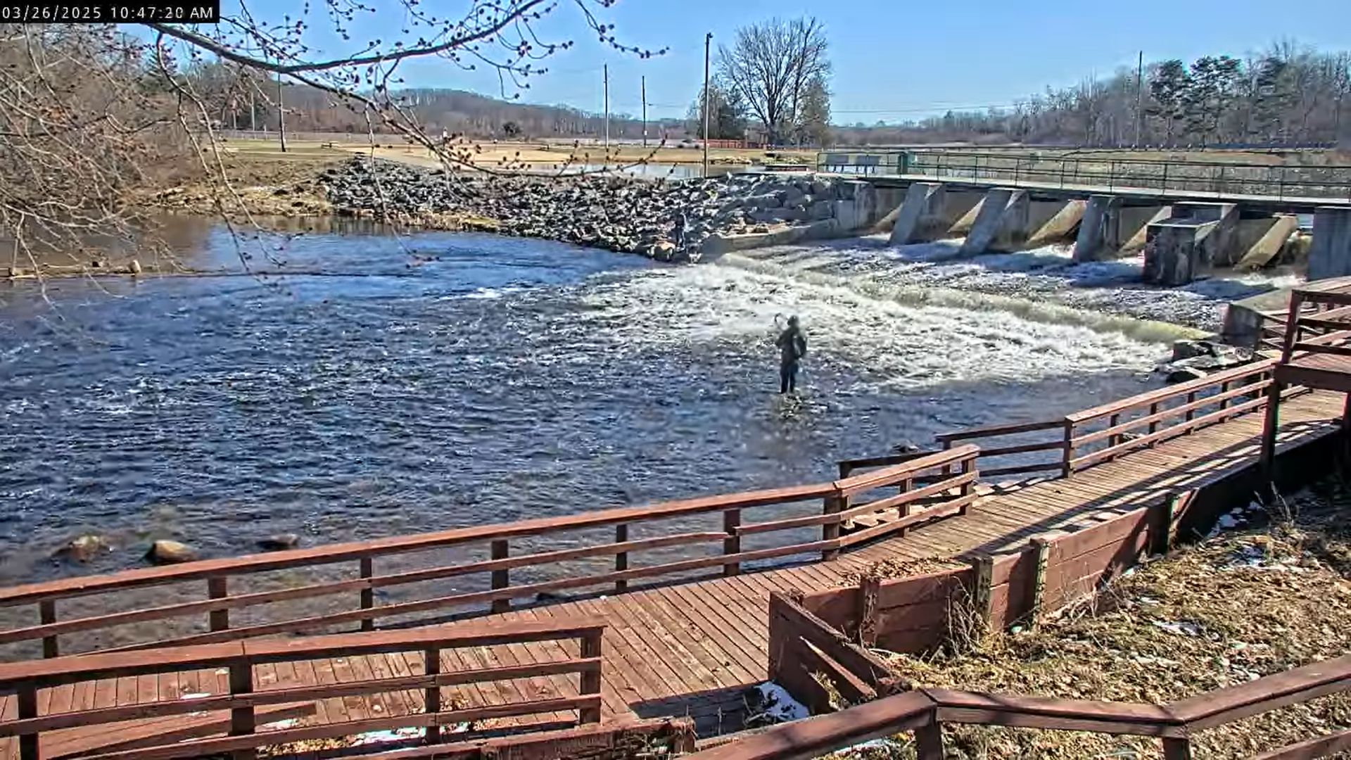 Fremont, Michigan Live Webcam