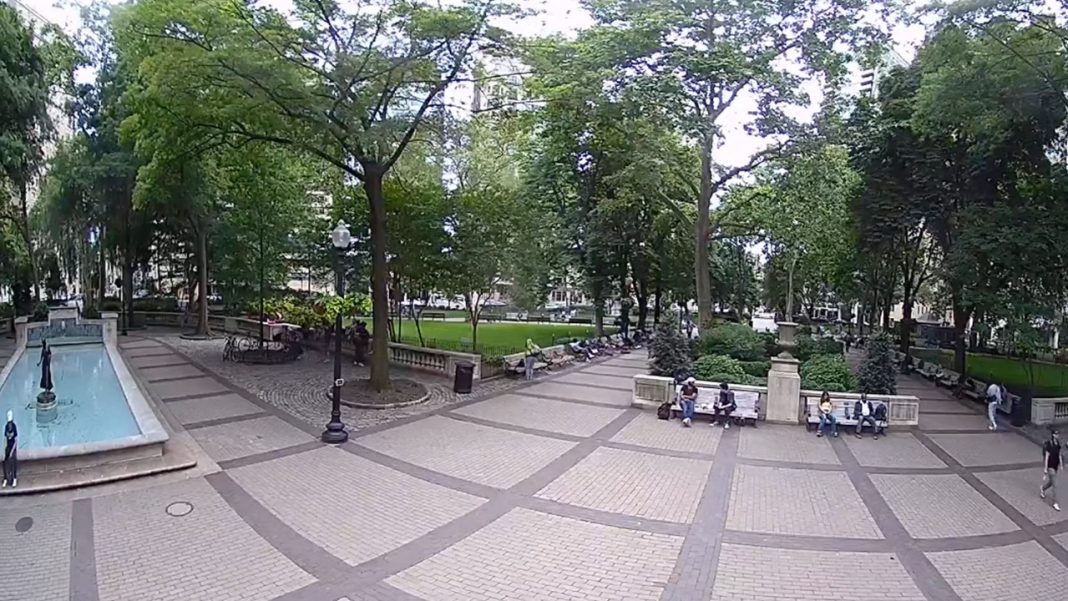 PHILADELPHIA INTERNATIONAL AIRPORT WEBCAM visual data 8