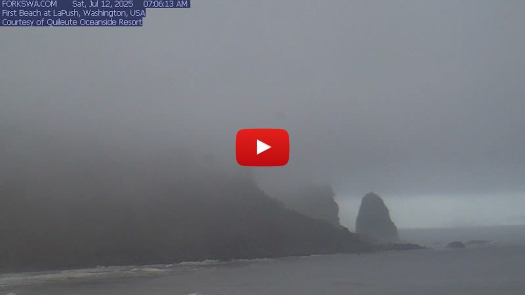 Live Webcam First Beach - La Push, Washington