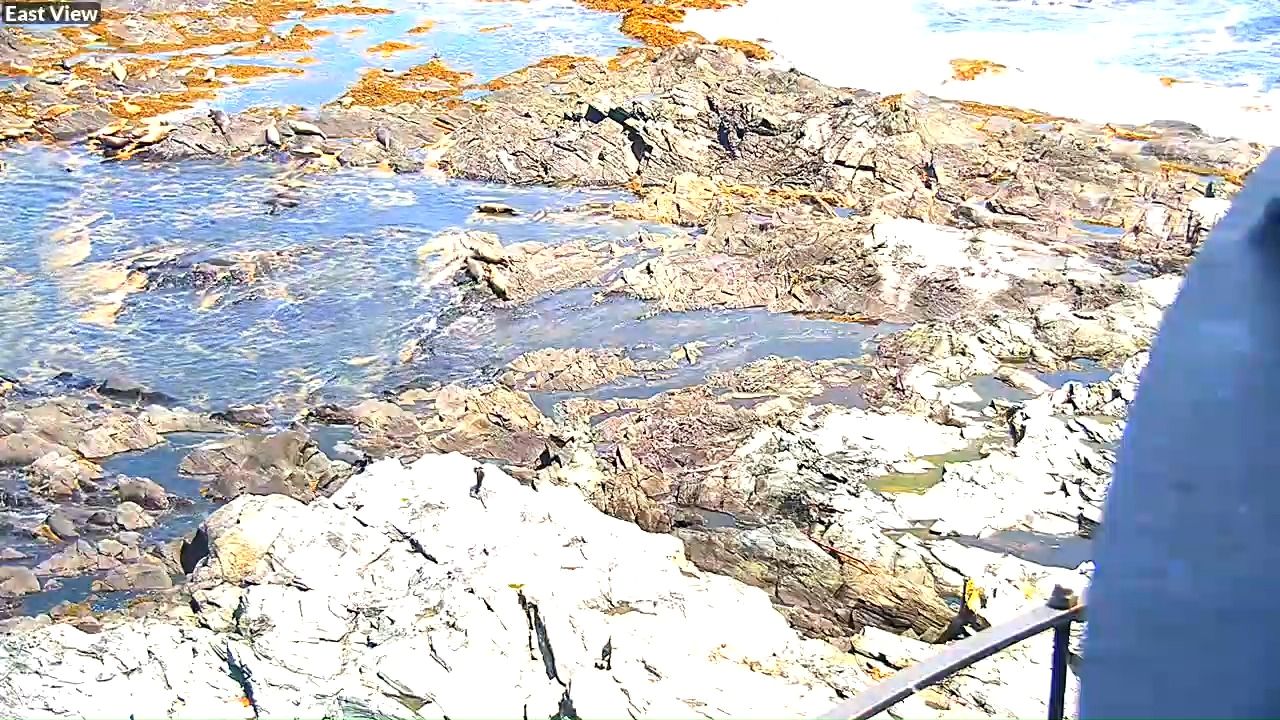 Live Webcam Halfway Rock Lighthouse – Casco Bay, Maine