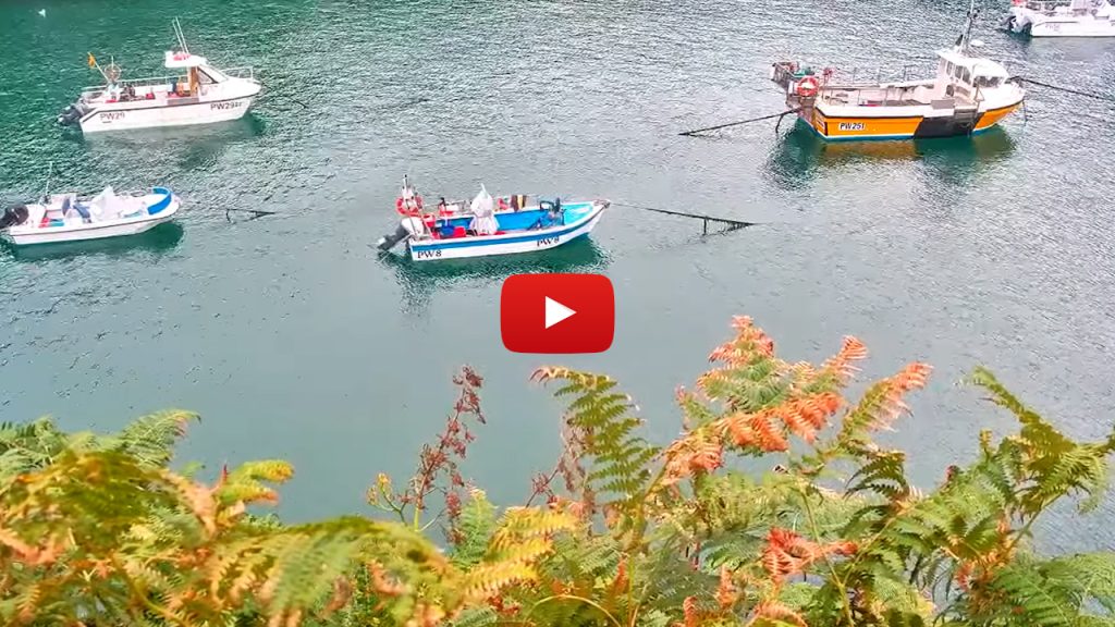 Live Webcam Port Isaac