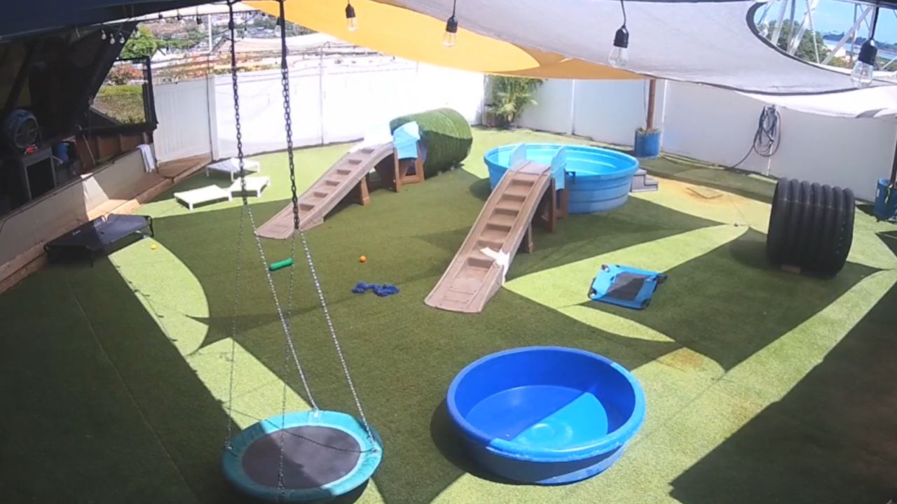 Tails of Hawaii Live Webcam – Pearl City, Hawaii