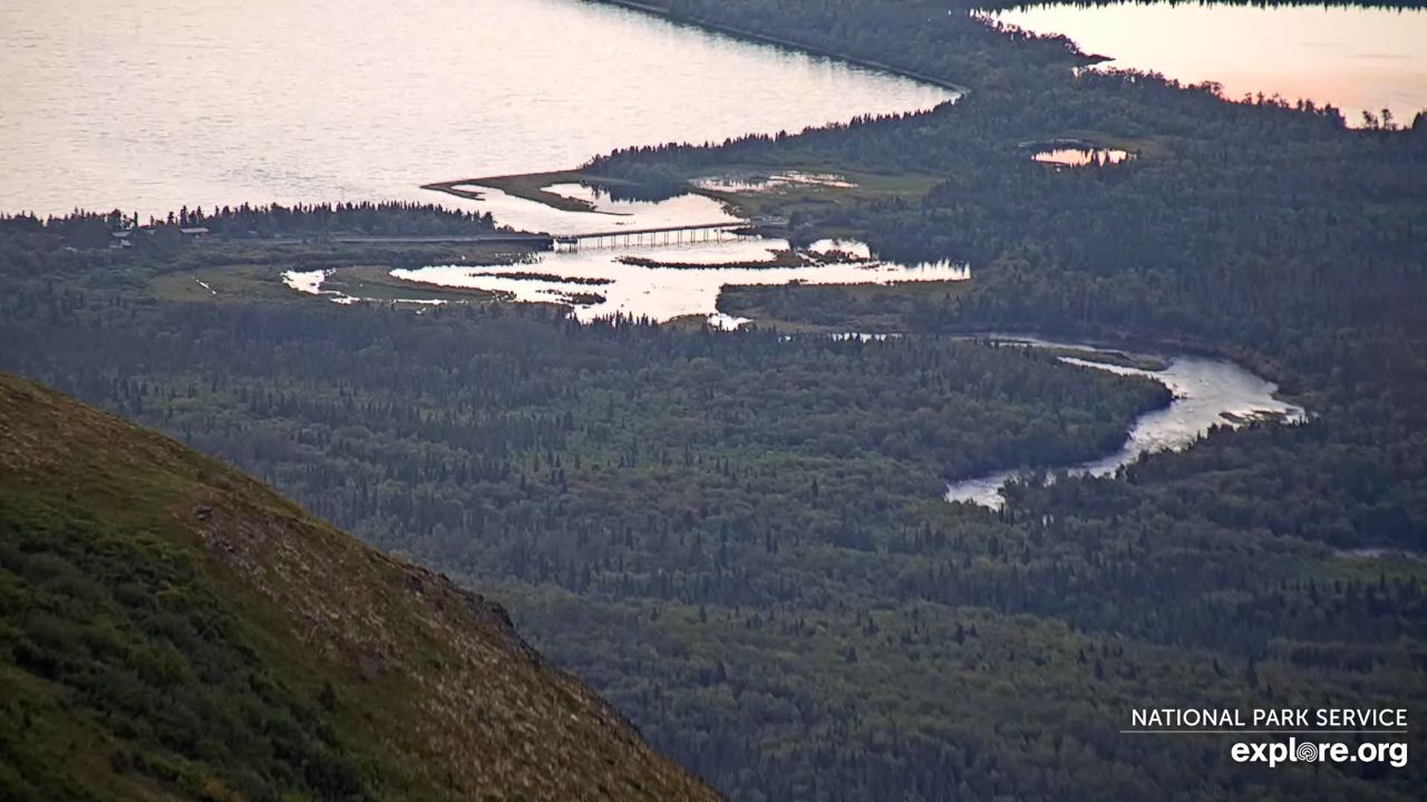 Live Webcam Katmai National Park – Dumpling Mountain