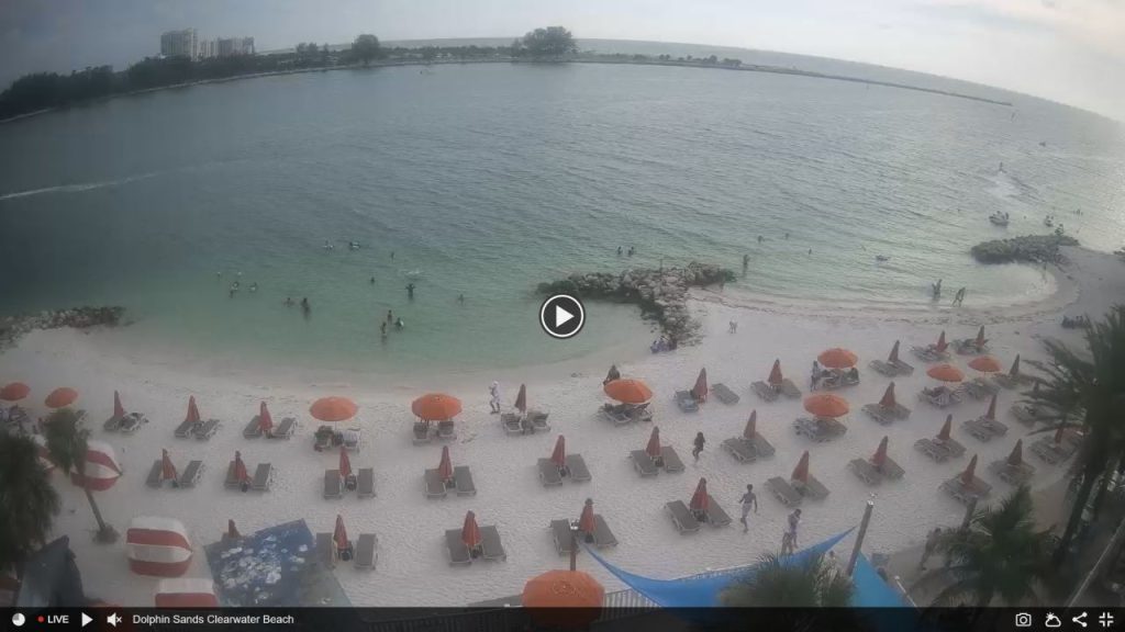 Live Webcam Winter The Dolphin Beach Club