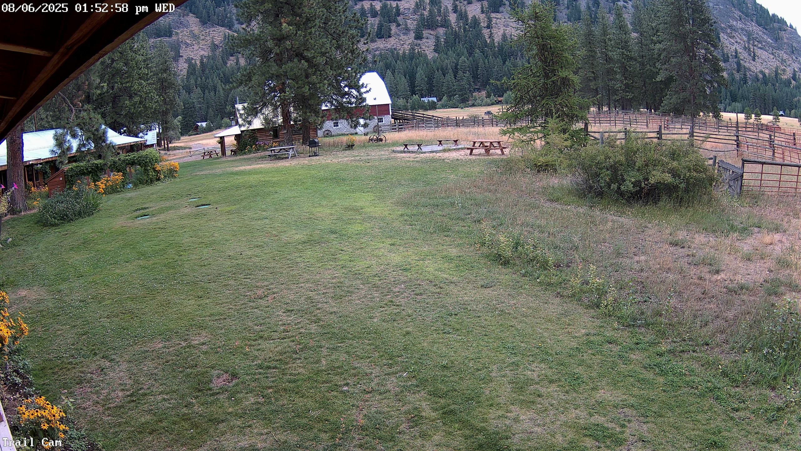 Live Webcam Mazama, WA