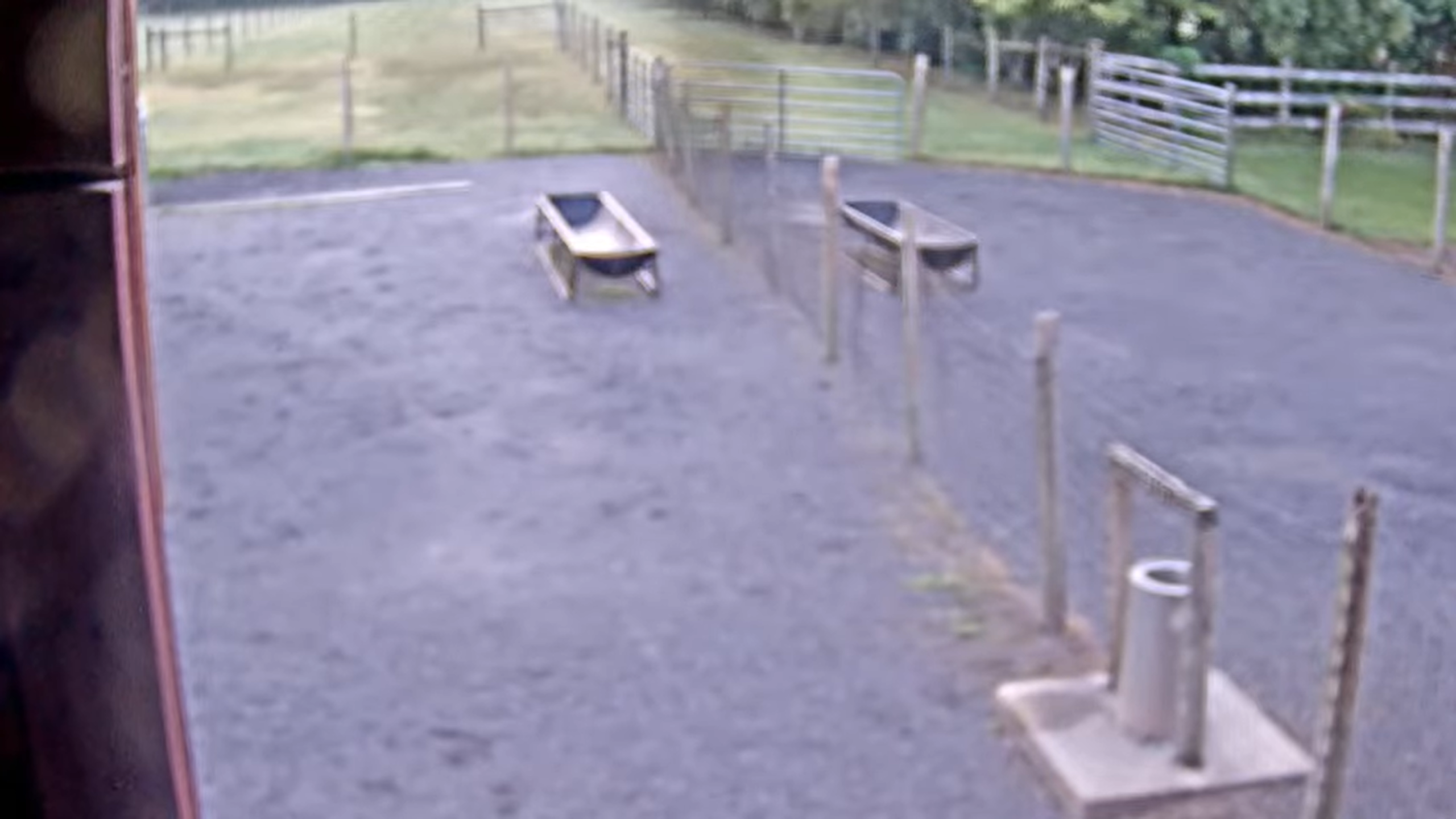 Spruce Lane Llamas – Stockton, New Jersey