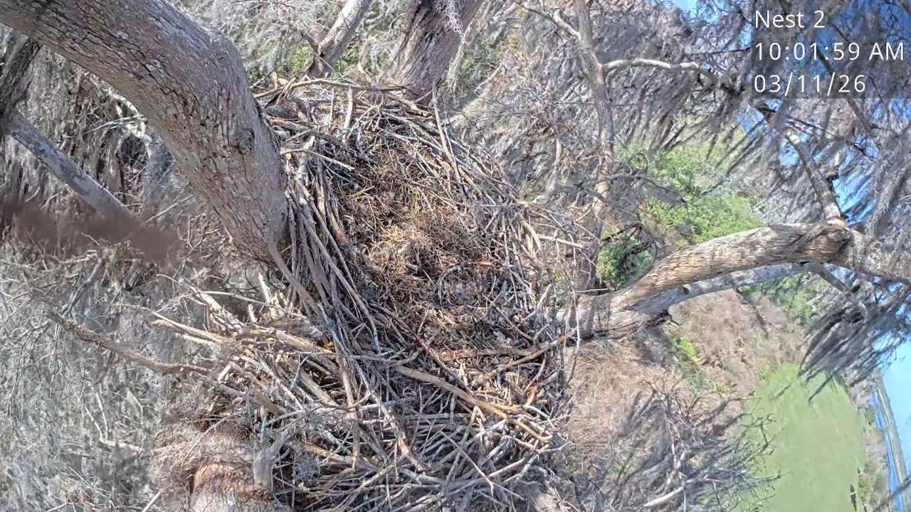 Brownie Wise Park – Kissimmee, Florida