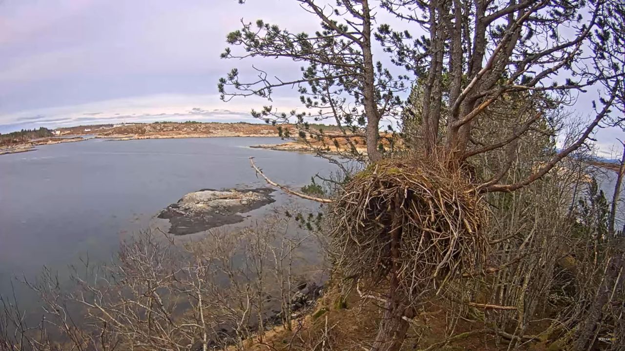 Smøla, Norway Live Webcam – Baron Blue & Baroness Barefoot